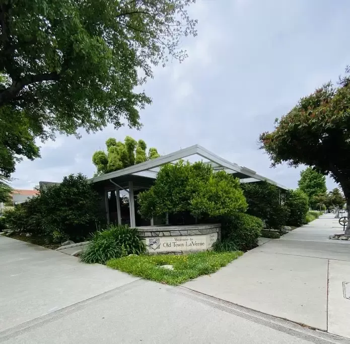 Peri Hanwalt consultation